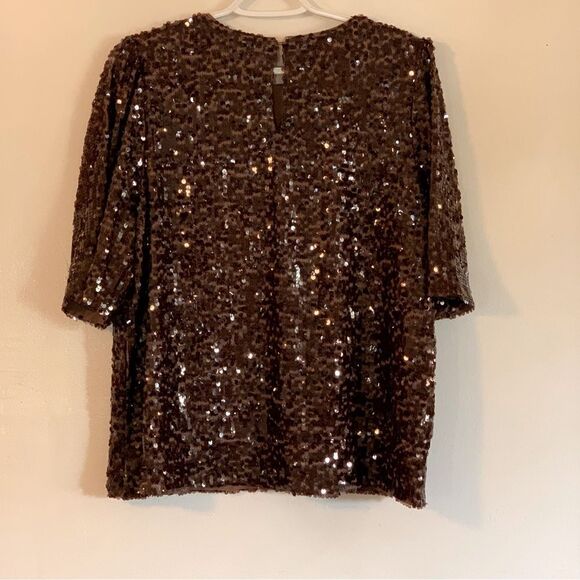 Ann Taylor Loft Shimmering Brown Sequin Top Back Button Puffy Sleeves Sz Large - Picture 5 of 6